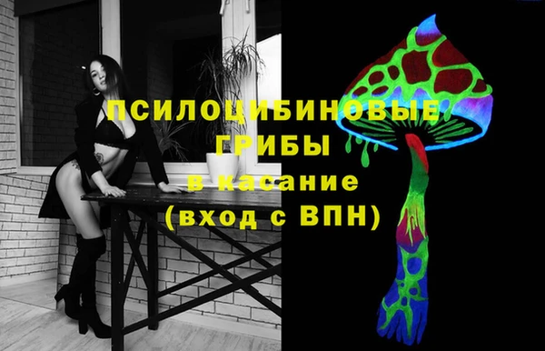 хмурый Алексеевка