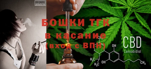 хмурый Алексеевка