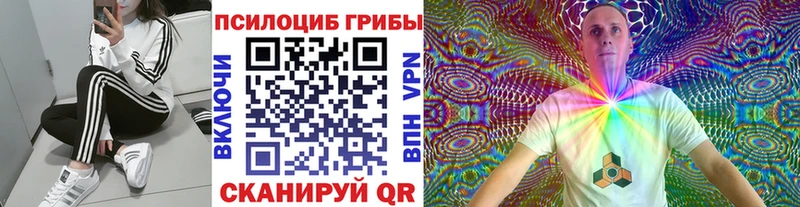 Купить закладки  Власиха  Галлюциногенные грибы Psilocybine cubensis 